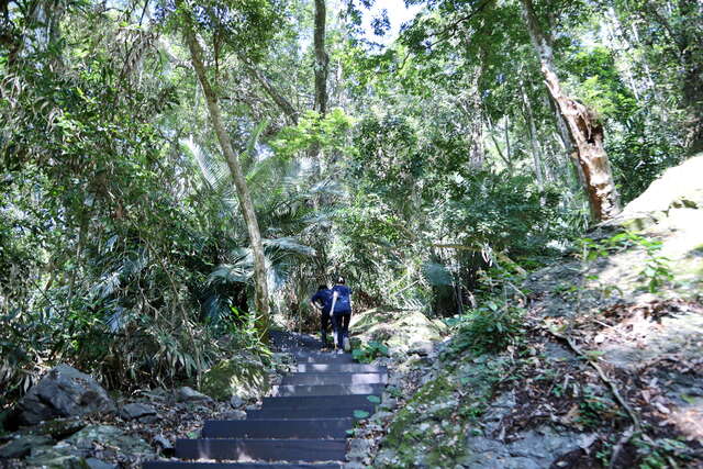 雪山坑登山步道-原木阶梯2_0