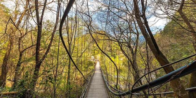 环山猎人步道_0