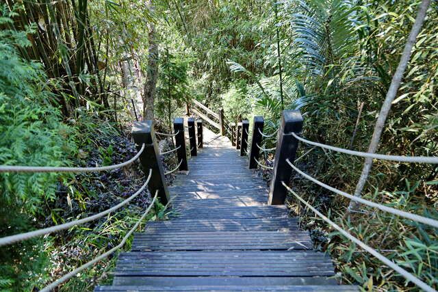 步道修复示意图2