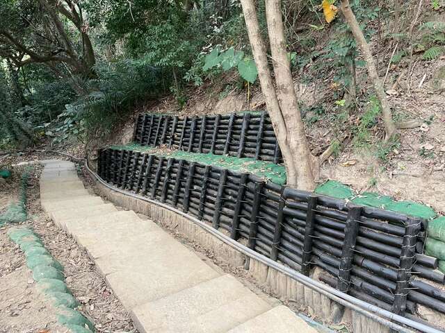 16号步道设置木桩驳坎-以防止崩落