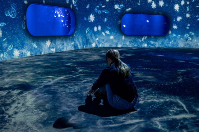 台中海洋馆充满冰裂纹的沉浸式投影