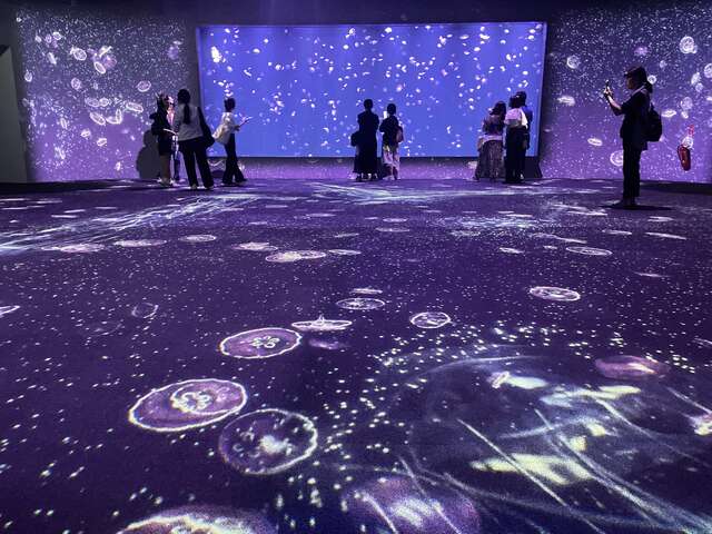 台中海洋馆水母小学堂-春节亲子景点