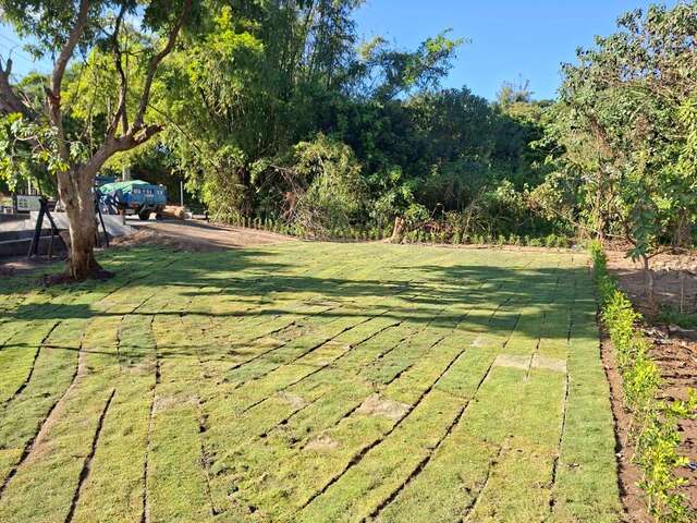 乌日知高圳步道绿美化空间