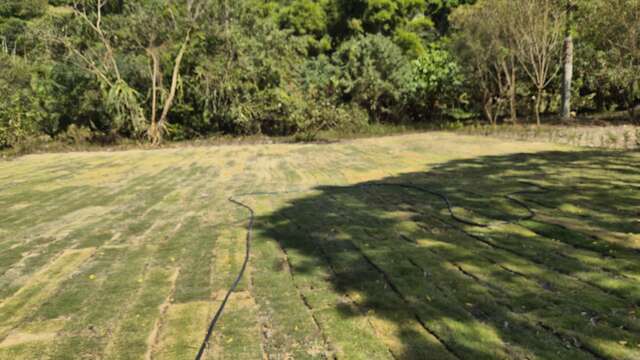 乌日知高圳 步道绿美化空间