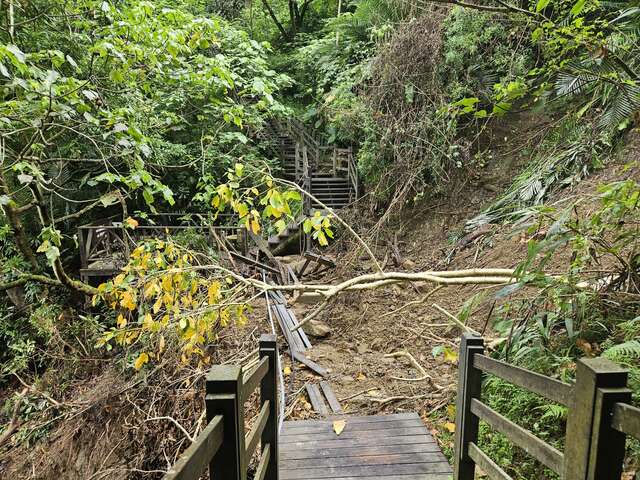 大坑10号登山步道0kplus750边坡崩坍