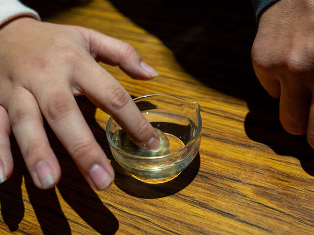 水母科教活動讓民眾近距離觀察並體驗水母觸感，透過互動方式認識水母生態與海洋知識。