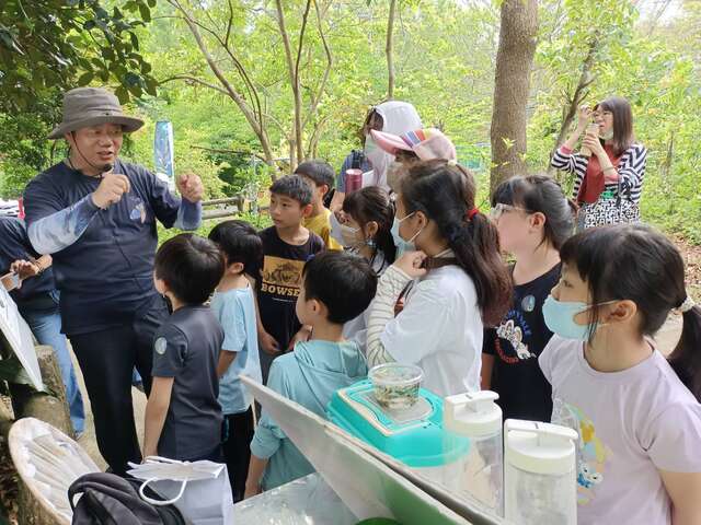 螢火蟲生態解說