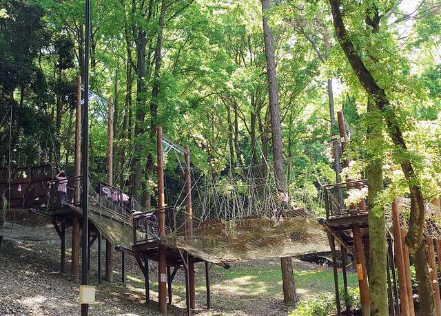 東勢林場體訓場讓孩子盡情耗電挑戰