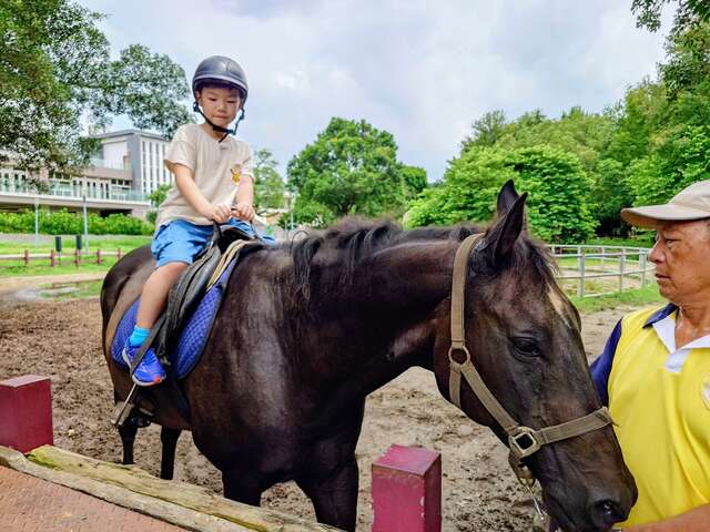 后里馬場可近距離接觸馬兒