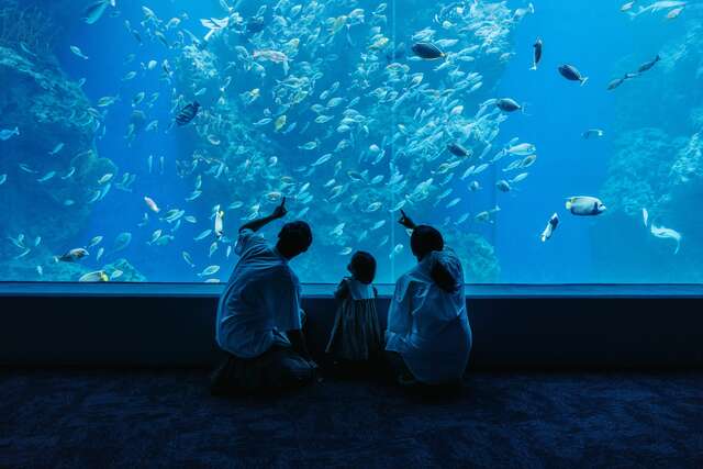 台中海洋館募集圖書-免費體驗海洋世界