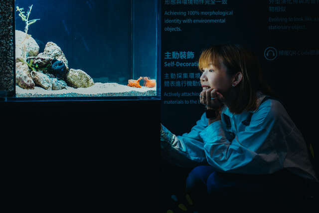 視線得以與生物齊平的距離-近距離觀察每種生物的特殊習性