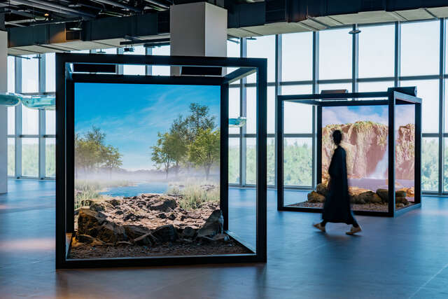 台中海洋館的水之旅程從台中河川源頭展開,展示立方重現溪流上游的林相與岩床,訪客彷彿走進河川的起點。
