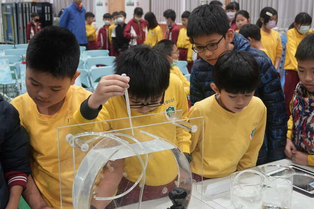 学生持滴管喂水母