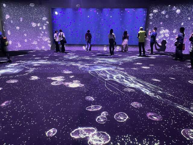 民众参观台中海洋馆