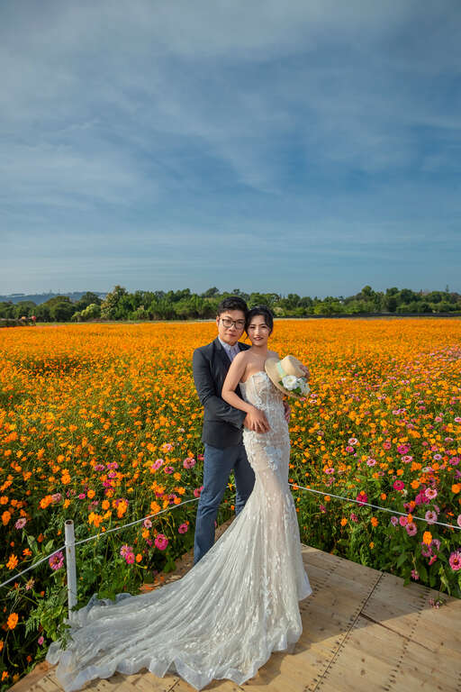 2025新社花海暨臺中國際花毯節絕美婚紗攝影