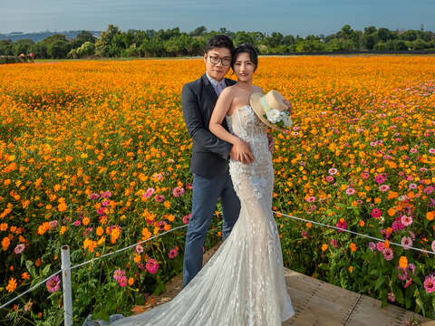 2025新社花海暨臺中國際花毯節絕美婚紗攝影