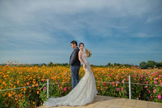 2025 新社花海暨臺中國際花毯節絕美婚紗攝影