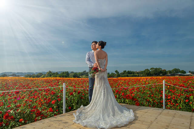 2025新社花海暨臺中國際花毯節 絕美婚紗攝影
