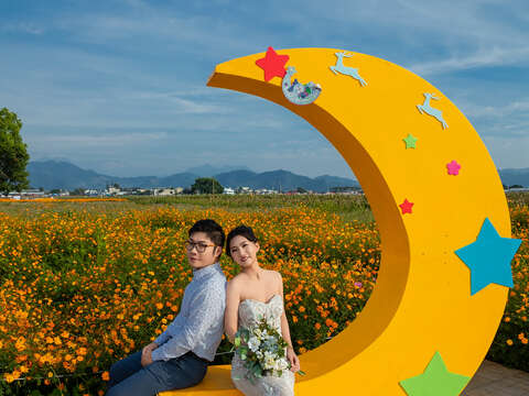 2025新社花海暨臺中國際花毯節絕美婚紗 攝影
