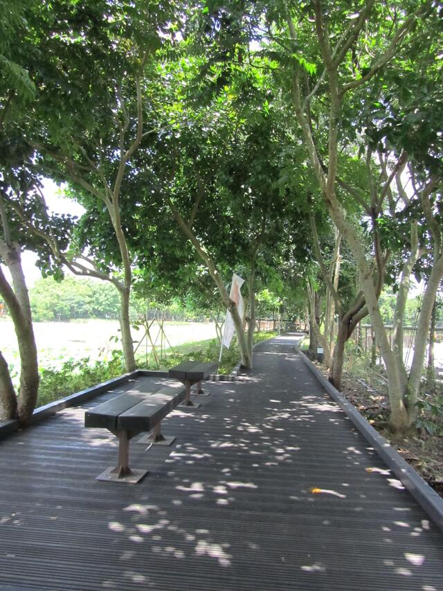 东势林业文化园区-木栈步道