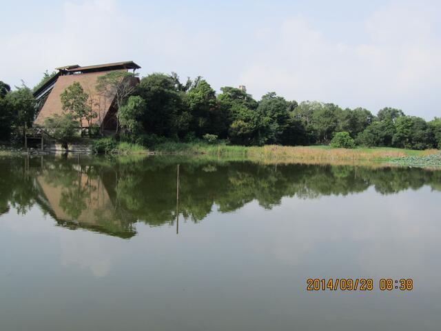 东势林业文化园区-生态贮木池湖面