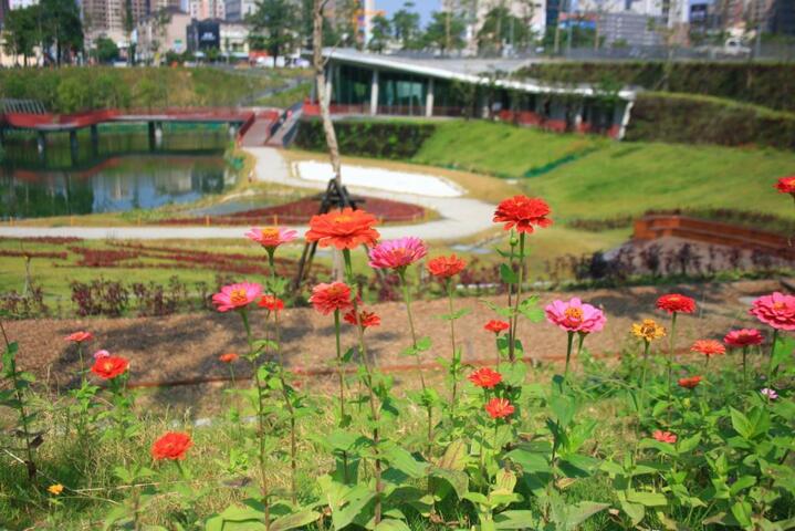 치우홍구 광장