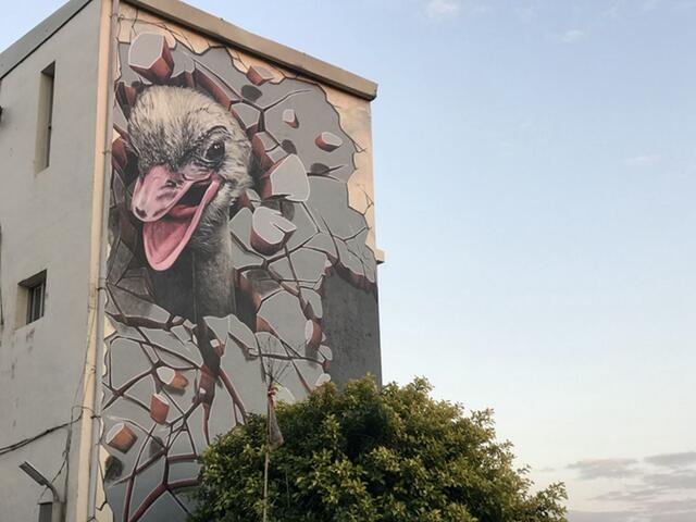 房子牆面上大型的鴕鳥壁畫