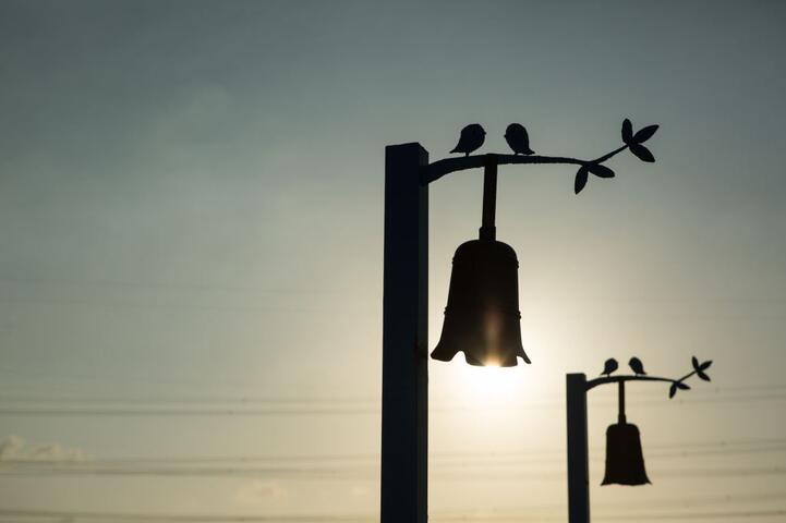 Lishui Fishing Harbor