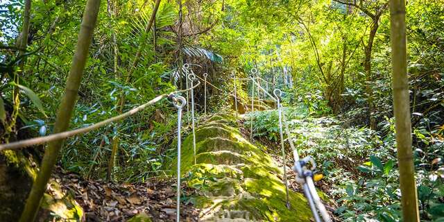 Shuangqi Tribe Maifuping Trail