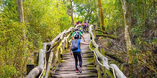 大坑1号登山歩道