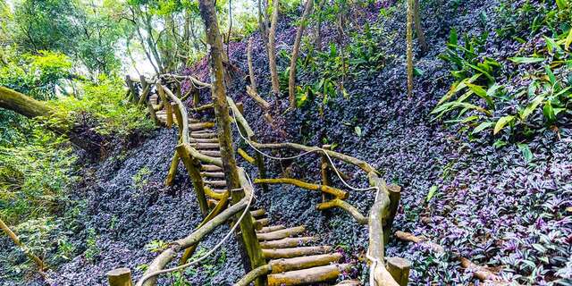 다컹5호 등산로