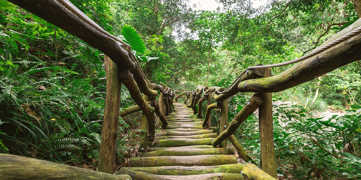 다컹 3-1호 등산 트레일