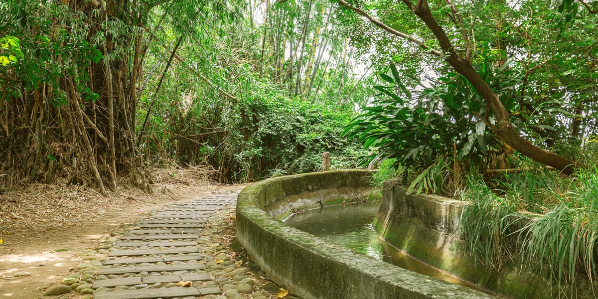 쯔까오전 산책길