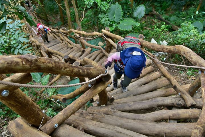 ＼大坑登山步道持續整建ing，同步開放企業來認養！／​