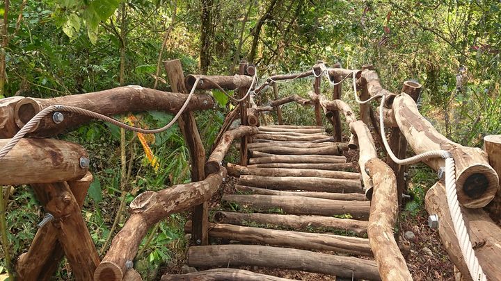#大坑風景區 今年再度優化升級!!／​