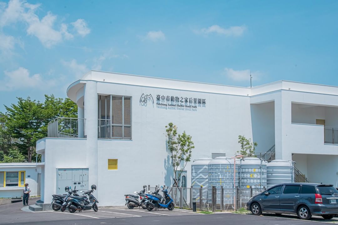 国际流浪动物日,到全台最美动物之家陪伴浪浪。