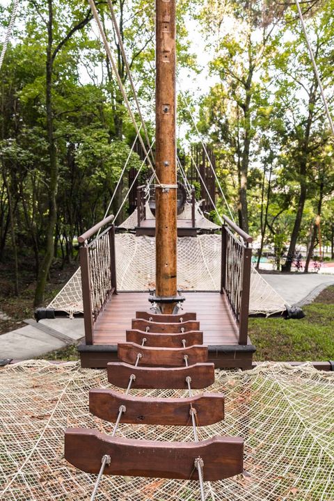 \林間攀爬正夯,大坑1號步道體訓場即將嶄新亮相/