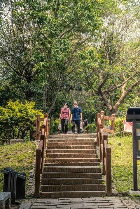 \重阳登高趋吉避凶!台中爷奶也能轻松完登的步道/