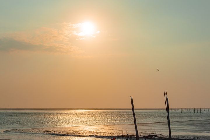\摄影迷预备备,准备到 #大肚溪 等候鸟降落!/