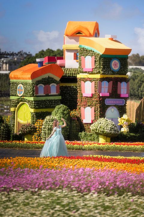 \#2022台中国际花毯节 怎麽拍都美!/