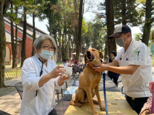 \#台中市民野餐日 丰原场野餐垫领取指南/