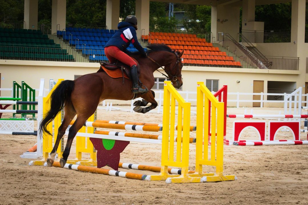 \与众不同的圣诞假期!到 #后里马场 观赛事逛市集/