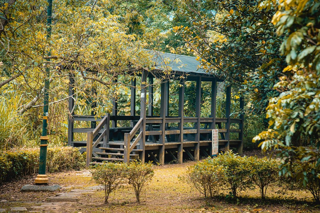 適合親子的好行木棧階梯及吊橋!新的一年就和全家到臺中景點出遊!