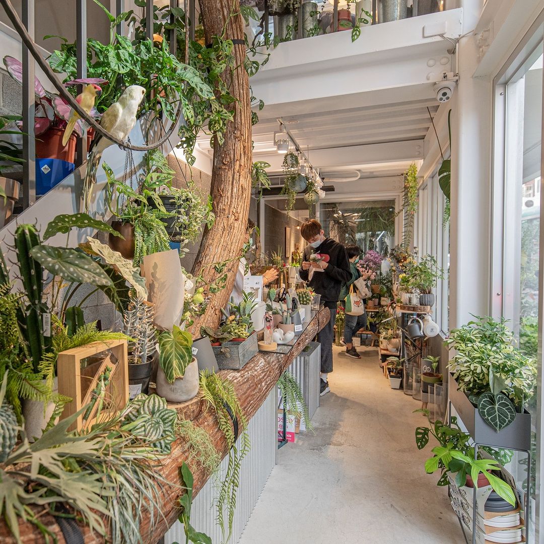 新年新氣象,就用美麗的鮮花與植栽讓家中生氣蓬勃,充滿朝氣吧!