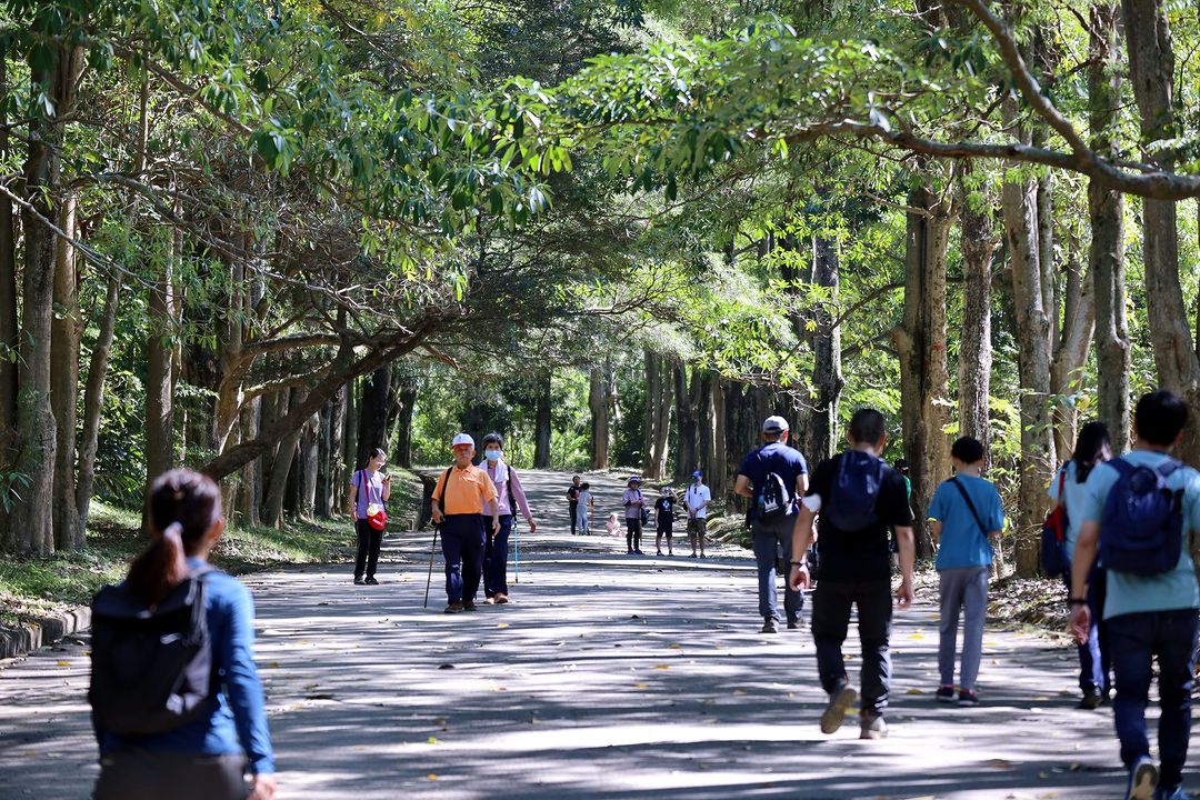 新年新挑戰!解鎖臺中小百岳,來場文藝太平慢活一日遊