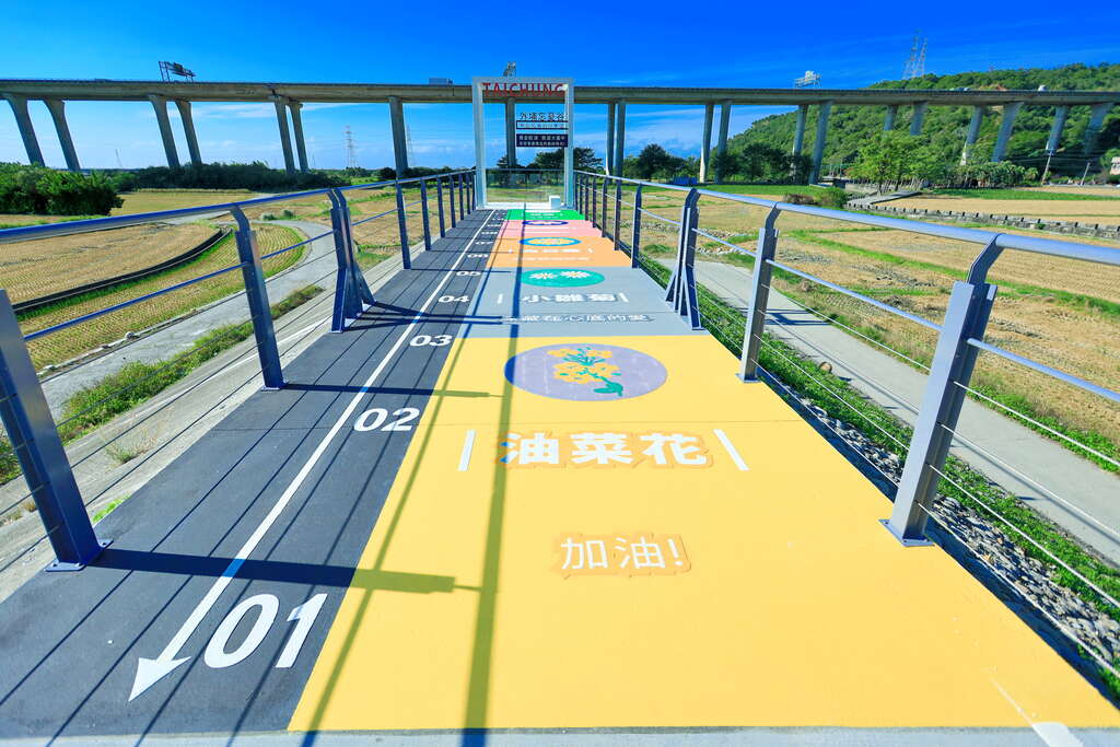 臺中人甲后線自行車道秘境,田園美景盡收眼底🌾