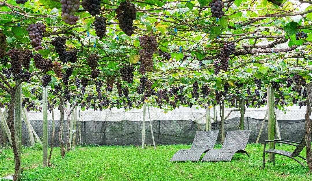 228紀念日一日小旅行!探訪臺中人私藏小眾秘境