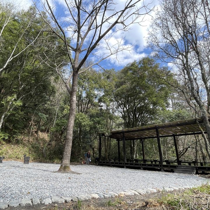 \植物节🌳呼吸山林芬多精~拥抱群山的 #环山猎人步道 🏆/