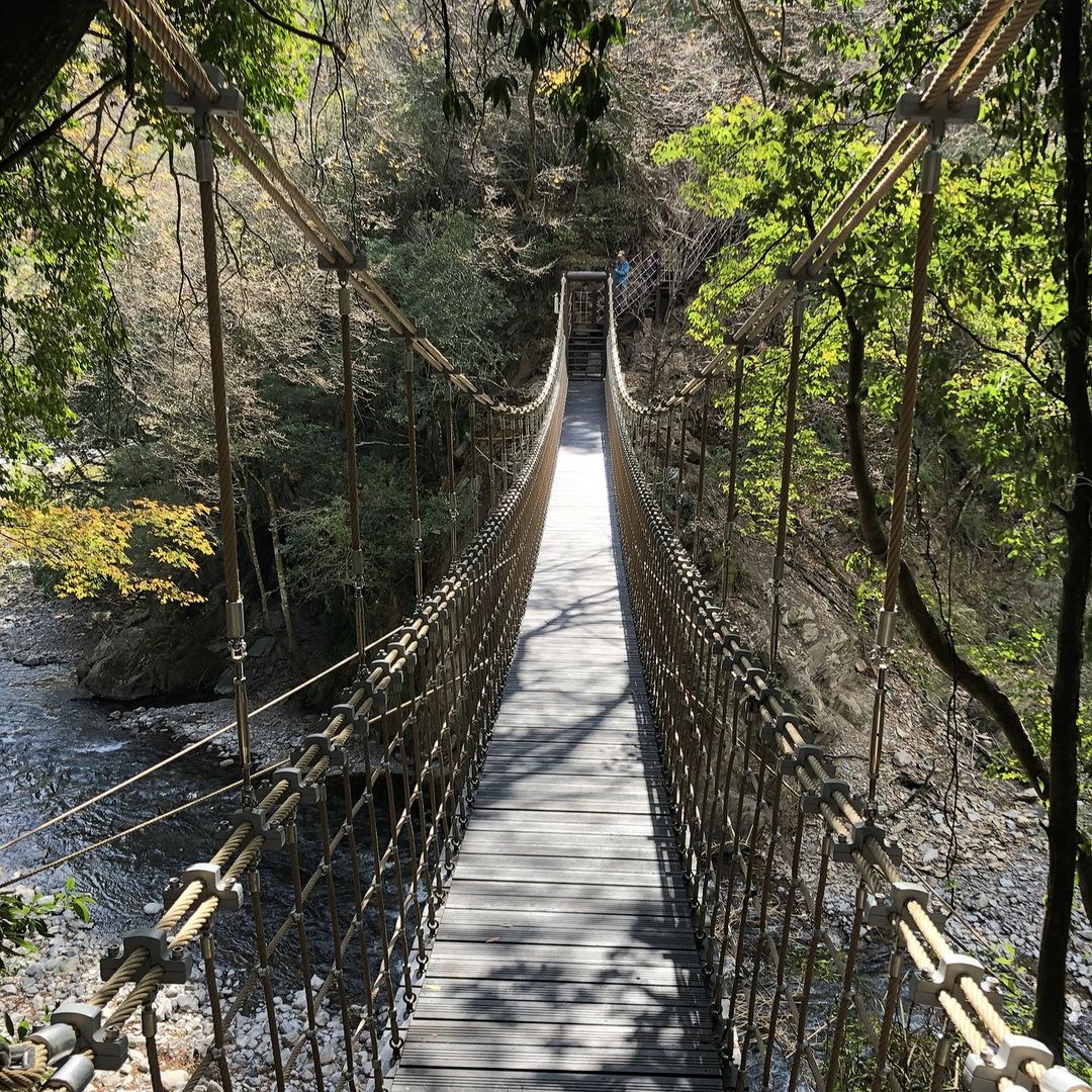 呼吸山林芬多精~擁抱群山的 #環山獵人步道,榮獲台灣景觀大獎「風景遊憩類傑出獎暨年度大獎」🏆以減量設計、環境永續方式♻️用最低生態干擾的工法,將 #泰雅族部落 文化與自然地景巧妙結合🦋