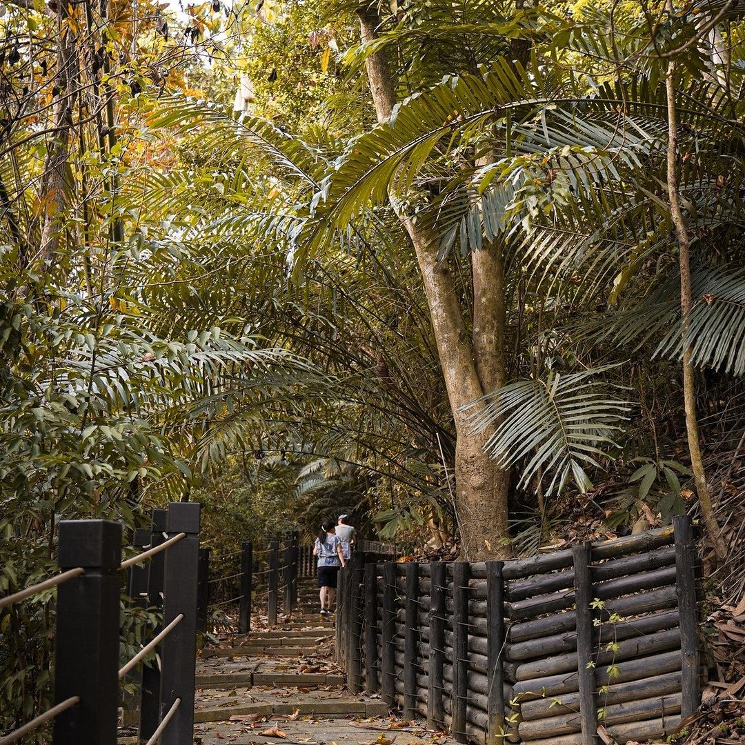 週末的休閒假期🌞就到霧峰小小登山步道踏青~漫步茂密樹林暫時遠離塵囂🌳周邊還有更多具歷史意義的景點喲.ᐟ.ᐟ